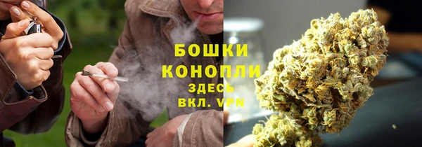 трава Покачи