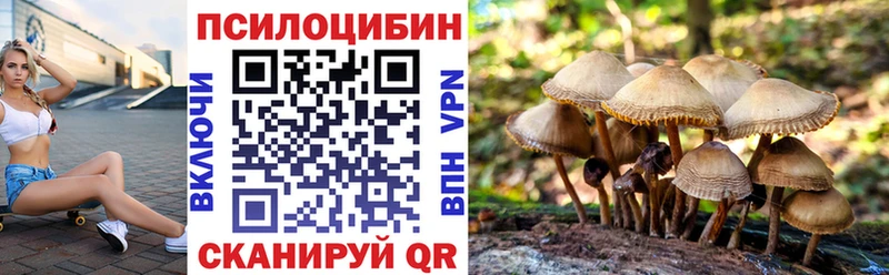 купить   Полярные Зори  Псилоцибиновые грибы MAGIC MUSHROOMS 